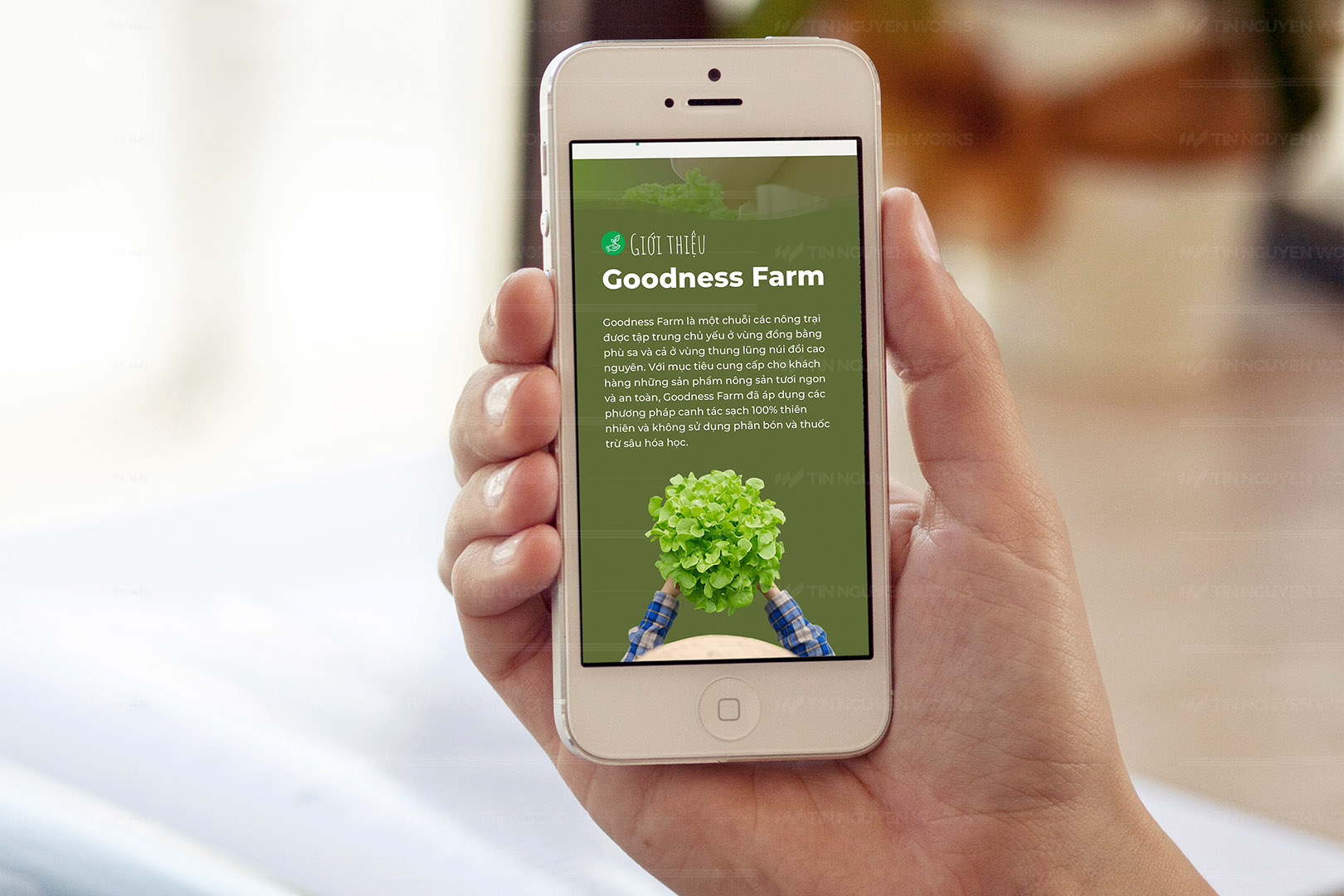 Goodness Farm – Website kinh doanh sản phẩm