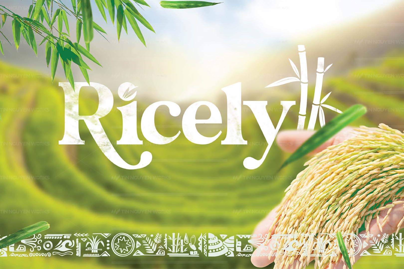 Ricely – Nhận diện thương hiệu